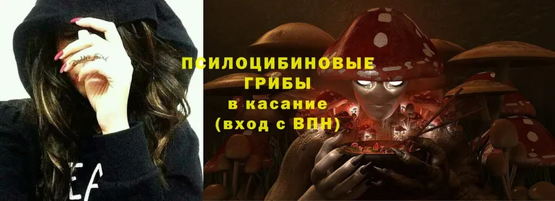 Галлюциногенные грибы Psilocybe Щёкино